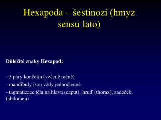 Hexapoda – šestinozí (hmyz sensu lato)