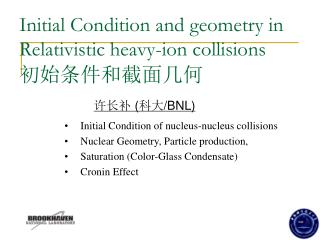 Initial Condition and geometry in Relativistic heavy-ion collisions 初始条件和截面几何