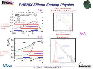 PHENIX Silicon Endcap Physics
