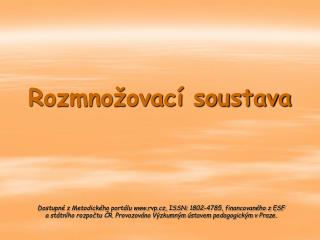 Rozmnožovací soustava