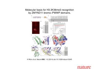 H Wen et al. Nature 000 , 1-6 (2014) doi:10.1038/nature13045