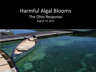 Harmful Algal Blooms The Ohio Response August 14, 2013