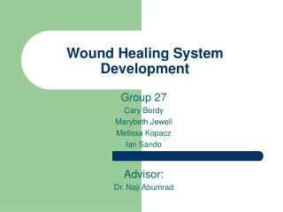 Wound Healing System Development