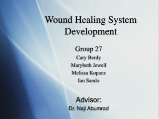 Wound Healing System Development