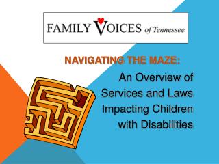 Navigating the Maze: