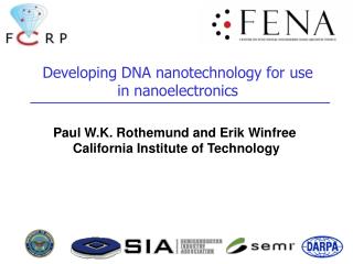 Developing DNA nanotechnology for use in nanoelectronics