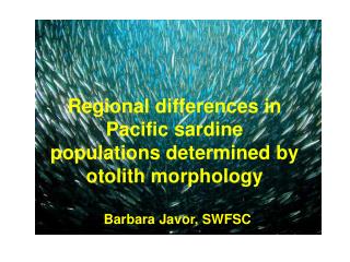 Regional differences in Pacific sardine populations determined by otolith morphology