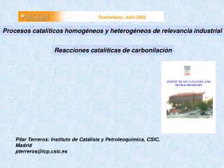 Pilar Terreros: Instituto de Catálisis y Petroleoquímica, CSIC, Madrid pterreros@icp.csic.es