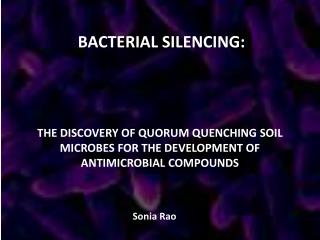 THE DISCOVERY OF QUORUM QUENCHING SOIL MICROBES FOR THE DEVELOPMENT OF ANTIMICROBIAL COMPOUNDS