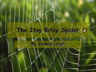 The Itsy Bitsy Spider