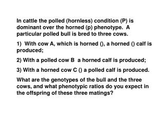 Therefore, you know that cows A and C are homozygous recessive (pp)