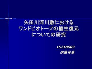 矢田川河川敷における ワンドビオトープの植生復元 についての研究