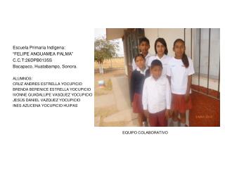 Escuela Primaria Indígena: “FELIPE ANGUAMEA PALMA”