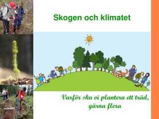 Skogen och klimatet