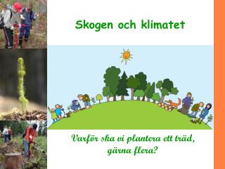 Skogen och klimatet