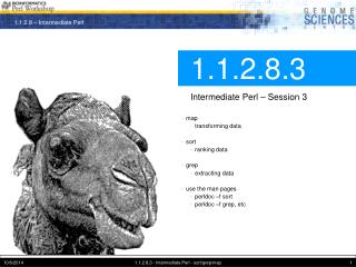 1.1.2.8.3 Intermediate Perl – Session 3