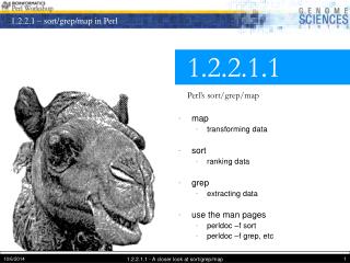 1.2.2.1.1 Perl’s sort/grep/map