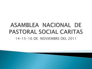ASAMBLEA NACIONAL DE PASTORAL SOCIAL CARITAS