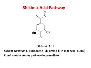 Shikimic Acid Pathway