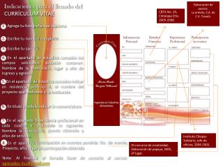 Indicaciones para el llenado del CURRÍCULUM VITAE