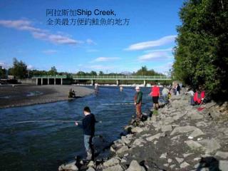 阿拉斯加 Ship Creek, 全美最方便釣鮭魚的地方