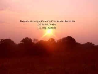 Proyecto de Irrigación en la Comunidad Koinonia Mthunzi Centre. Lusaka-Zambia