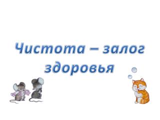 Чистота – залог здоровья