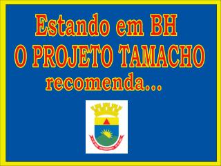 O PROJETO TAMACHO