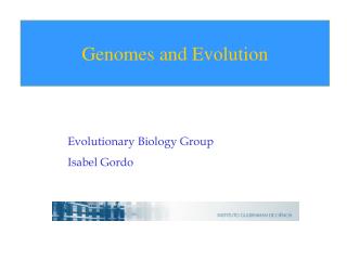 Evolutionary Biology Group Isabel Gordo