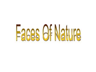 Faces Of Nature