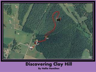Discovering Clay Hill By Hallie Hamilton
