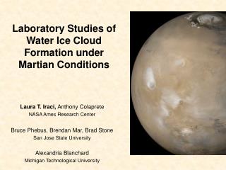 Laboratory Studies of Water Ice Cloud Formation under Martian Conditions
