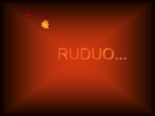 RUDUO...