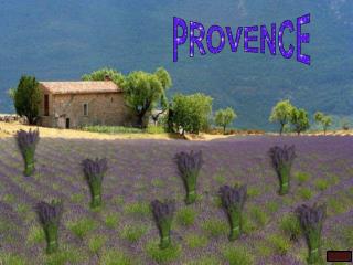 PROVENCE