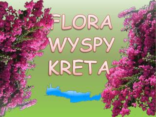 FLORA WYSPY KRETA