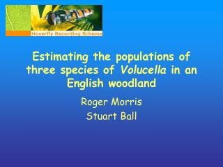 Estimating the populations of three species of Volucella in an English woodland