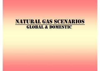 NATURAL GAS SCENARIOS