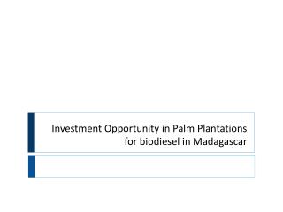 Investment Opportunity in Palm Plantations for biodiesel in Madagascar