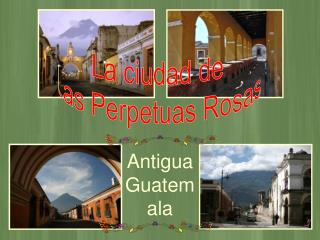 La ciudad de Las Perpetuas Rosas