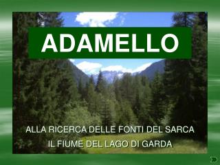 ADAMELLO