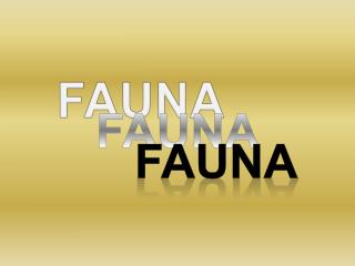 FAUNA