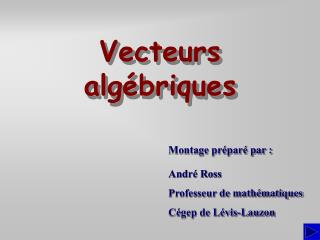 Vecteurs algébriques