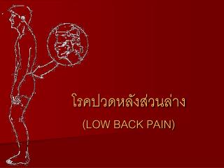 โรคปวดหลังส่วนล่าง (LOW BACK PAIN)