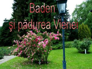 Baden şi pădurea Vienei