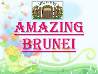 Amazing Brunei