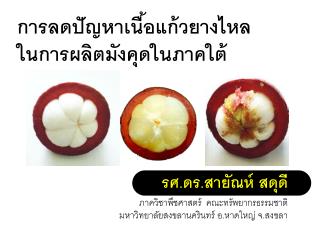 การลดปัญหาเนื้อแก้วยางไหล ในการผลิตมังคุดในภาคใต้