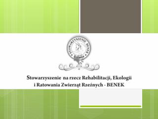 Stajnia Benek – Stowarzyszenie Benek