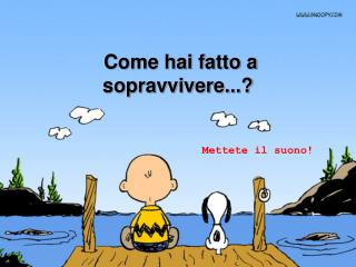 Come hai fatto a sopravvivere...?