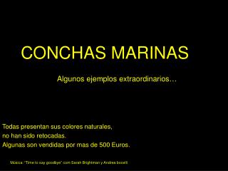 CONCHAS MARINAS