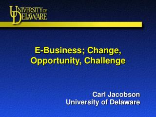 E-Business; Change, Opportunity, Challenge